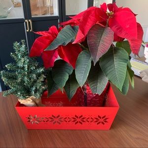 Red Metal Holiday Tin